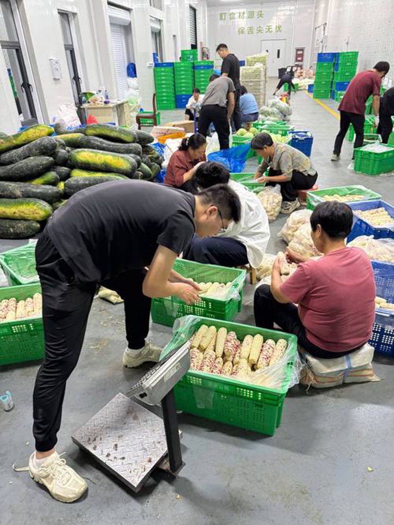 射阳大米：品鉴农业发展新趋势